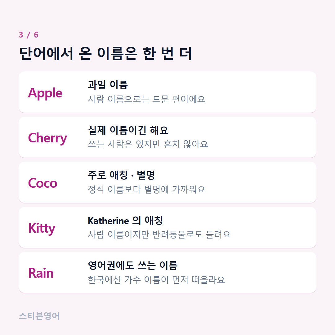 단어에서 온 이름은 한 번 더 — Apple, Cherry, Coco, Kitty, Rain