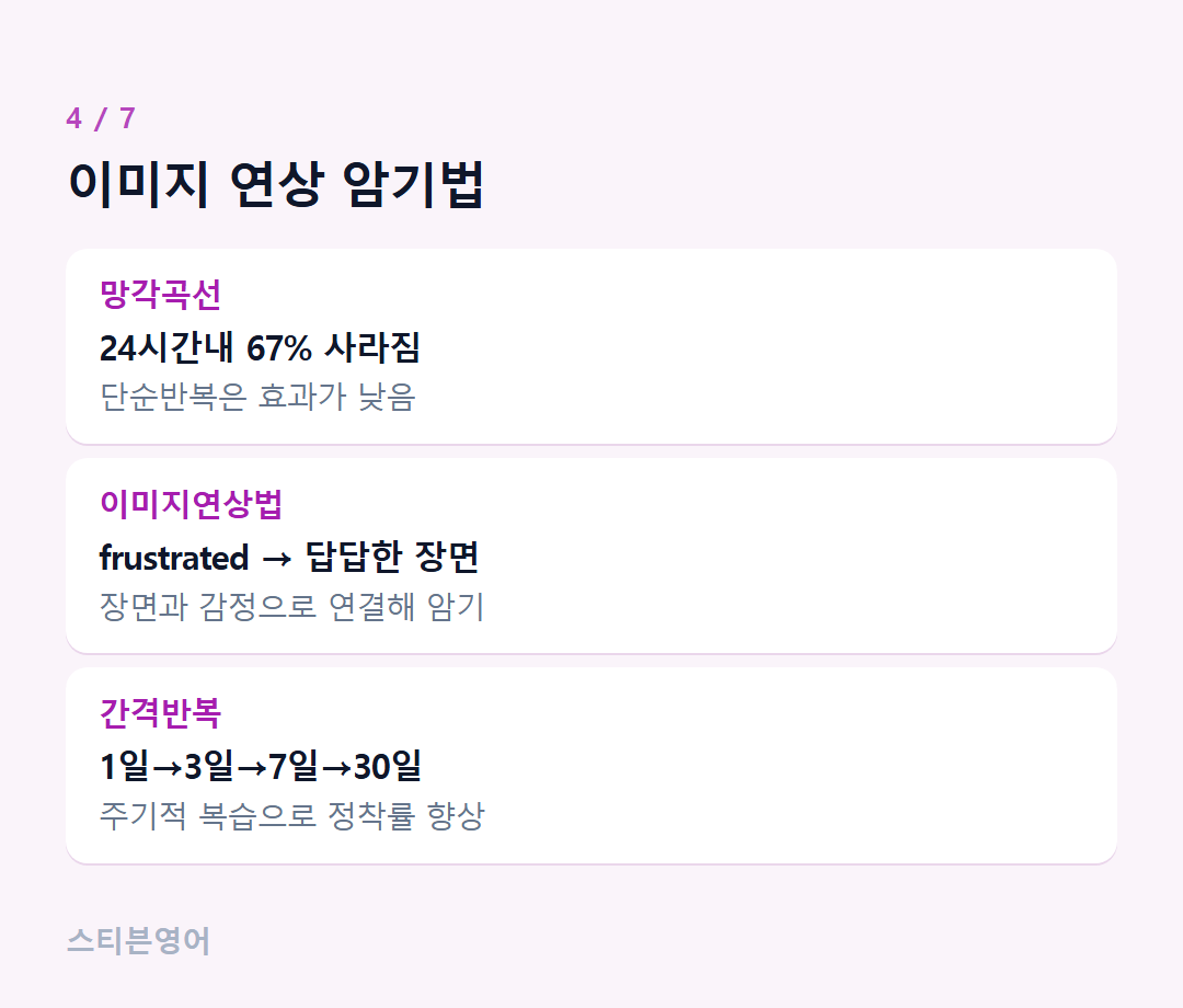 이미지 연상 암기법 — 망각곡선, 이미지연상법, 간격반복