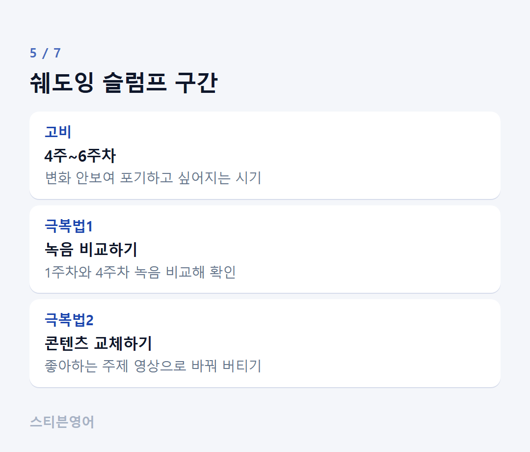 쉐도잉 슬럼프 구간 — 고비, 극복법1, 극복법2