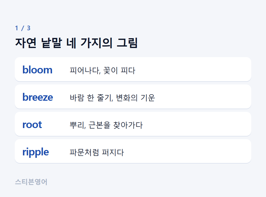 자연 낱말 네 가지의 그림 — bloom, breeze, root, ripple