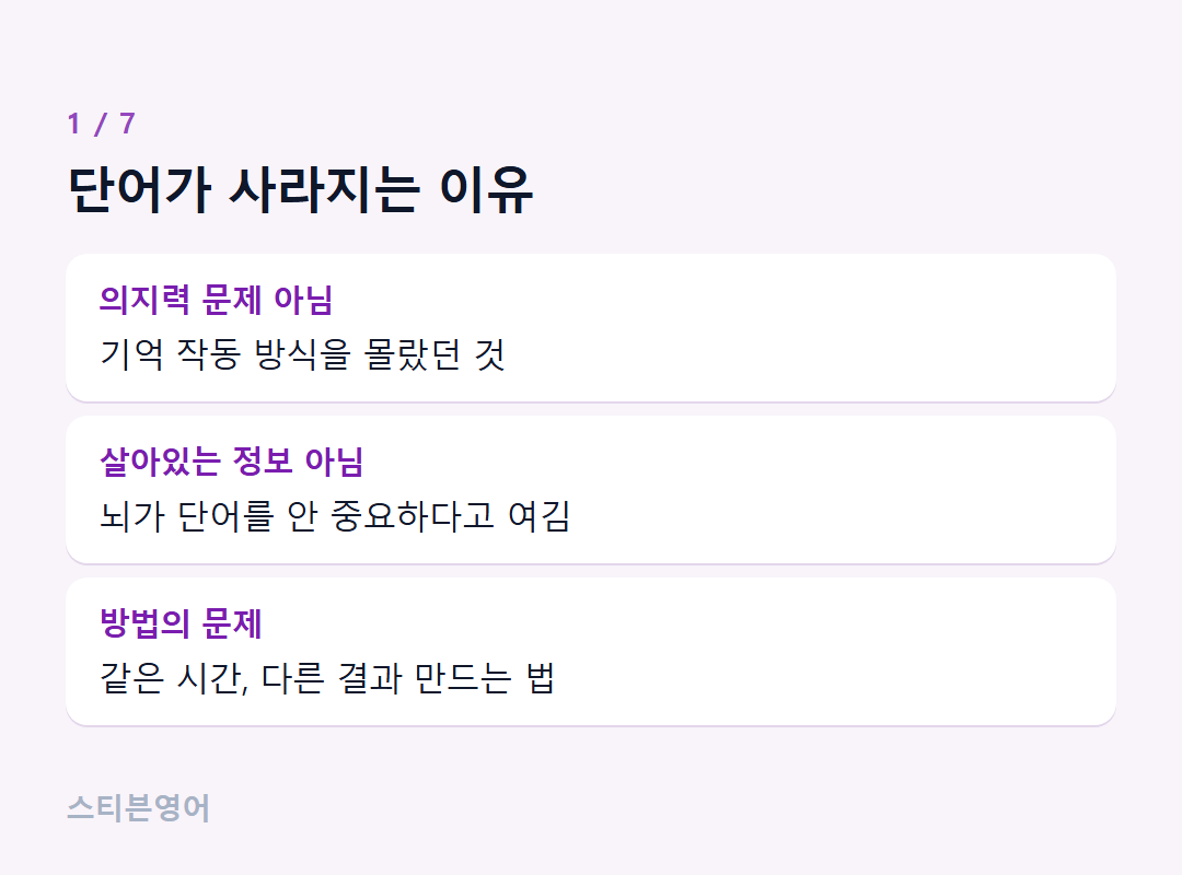 단어가 사라지는 이유 — 의지력 문제 아님, 살아있는 정보 아님, 방법의 문제