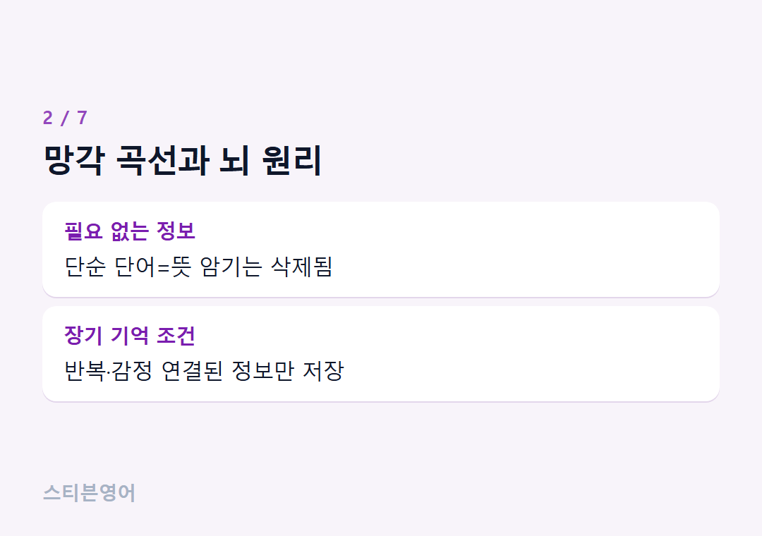 망각 곡선과 뇌 원리 — 필요 없는 정보, 장기 기억 조건