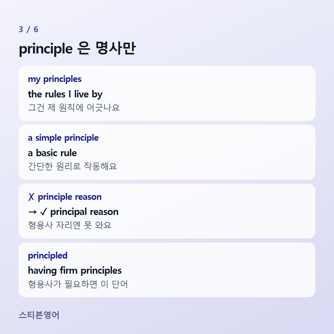 principle 은 명사만 — my principles, a simple principle, ✗ principle reason, principled