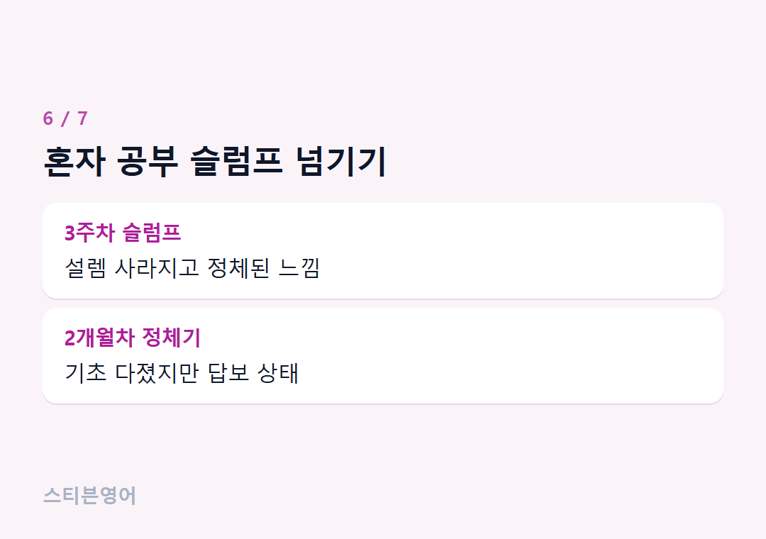 혼자 공부 슬럼프 넘기기 — 3주차 슬럼프, 2개월차 정체기