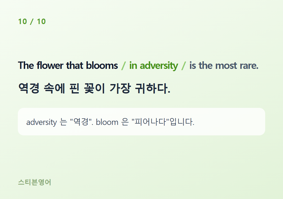 The flower that blooms in adversity is the most rare. — 역경 속에 핀 꽃이 가장 귀하다.